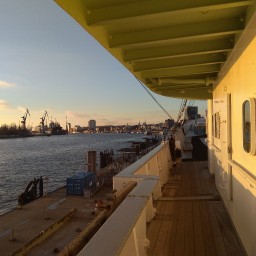 951e0e6105569e2f3a1ca817352a7984